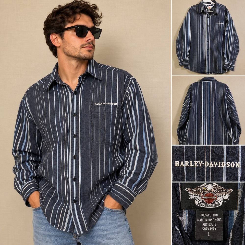Harley-Davidson Striped Paisley Button Down Shirt Men's L Blue - Prototype